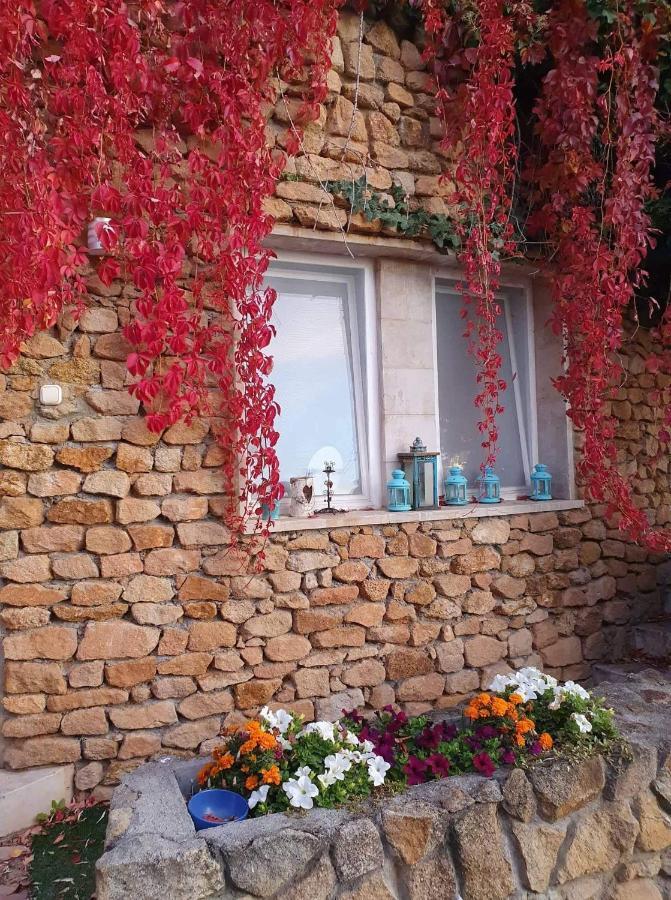 Best View Small House Free Parking Self Check-In Budapest Exterior photo